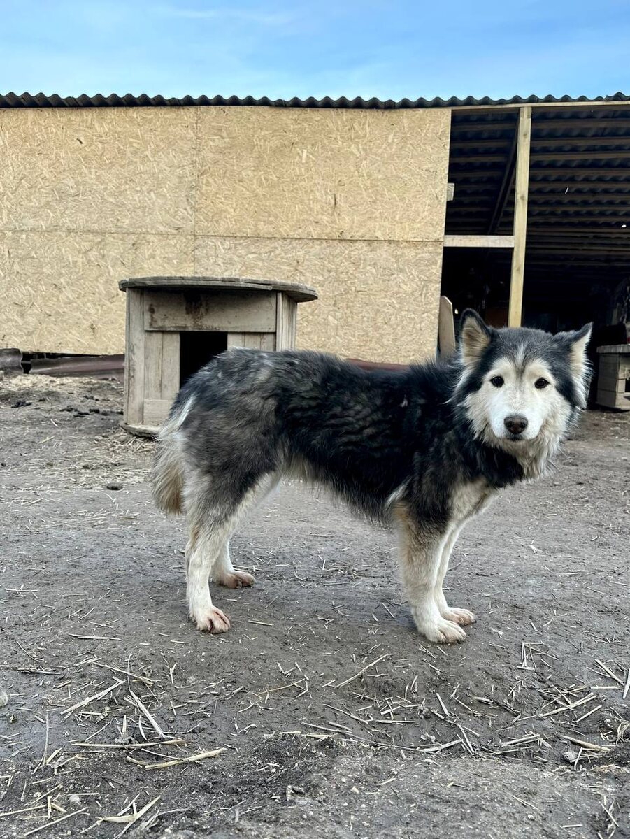 Номер раз, Ника. Нежная девочка, боится взрывов