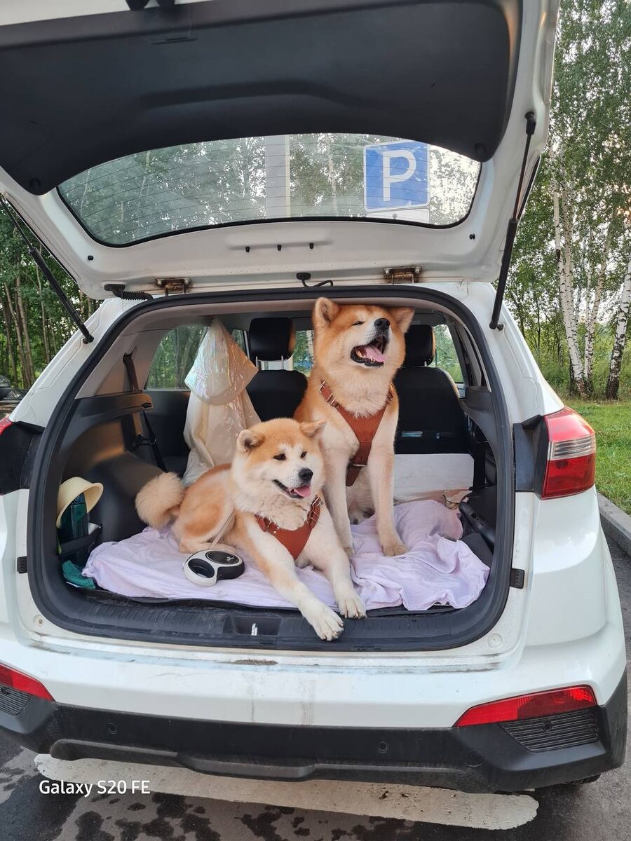 Фото из архива семьи Шибунеевых