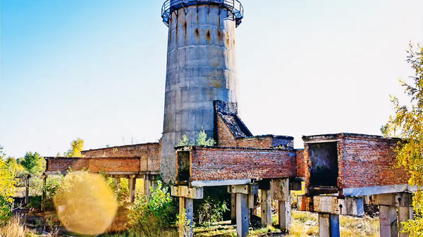     Фото: Кадр из видео   
 Текст: Анастасия Куликова