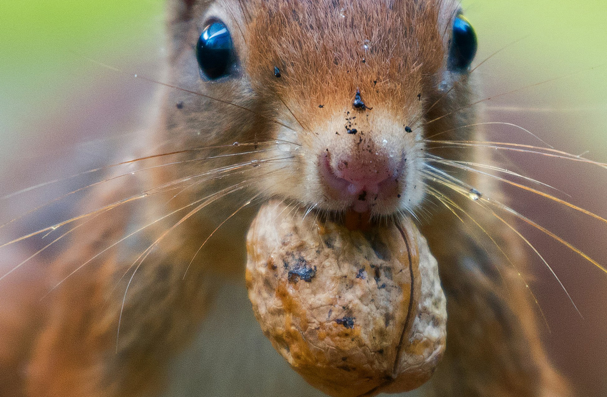 Фото: Vincent van Zalinge/Unsplash.com