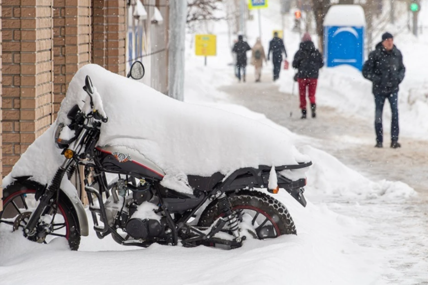 ФОТО: Михаил ФРОЛОВ