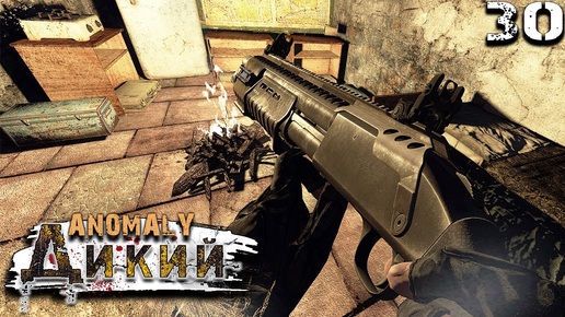 S.T.A.L.K.E.R. Anomaly Reality 1.5 (30) ► Новый вкус Зоны