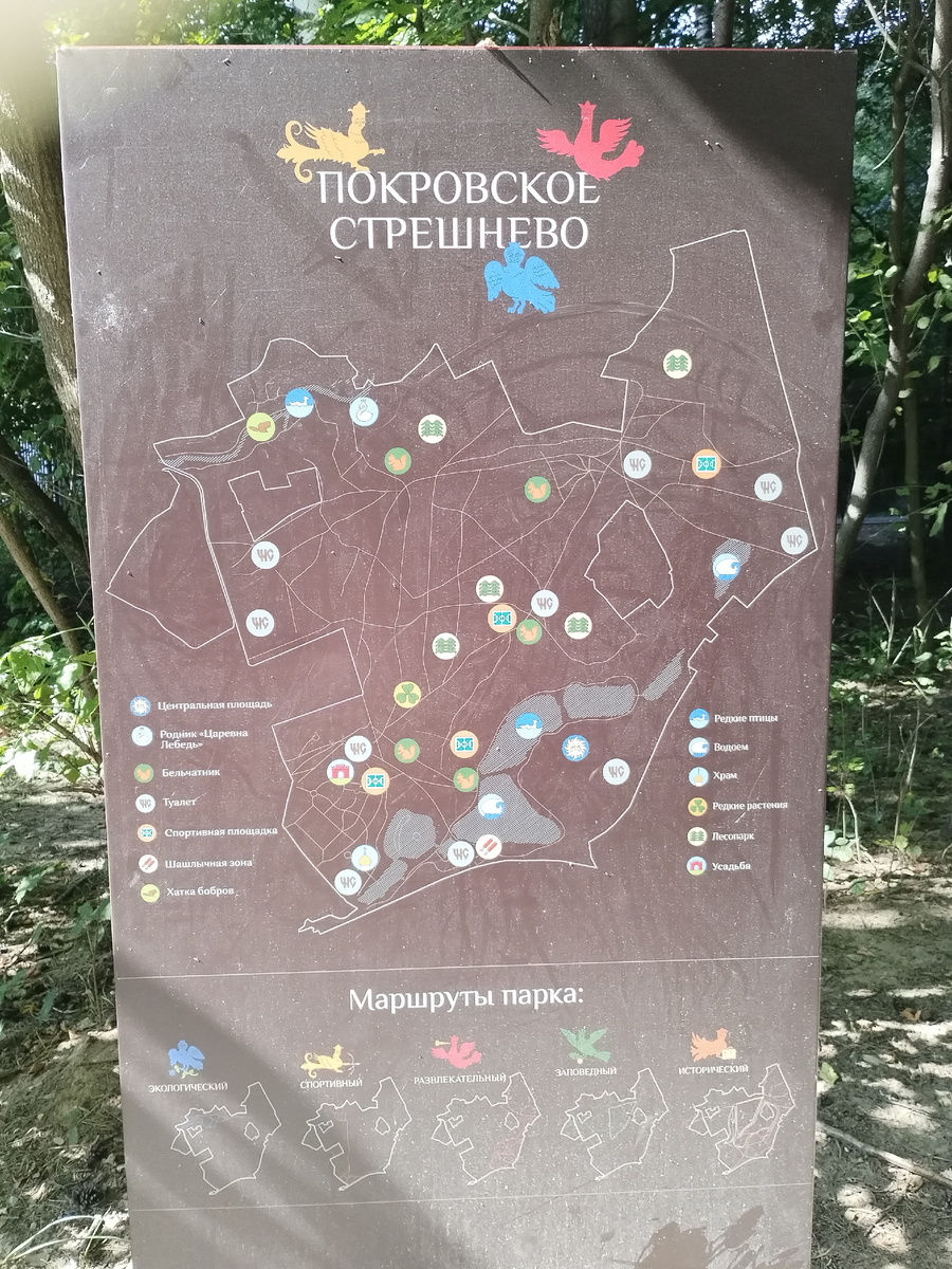 развлечения и маршруты в парке