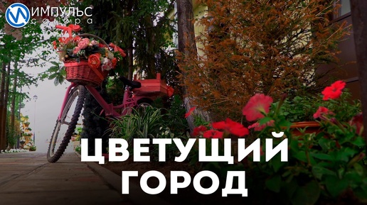 Download Video: Цветущий город