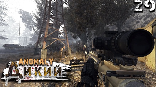 S.T.A.L.K.E.R. Anomaly Reality 1.5 (29) ► Сталкер на дороге