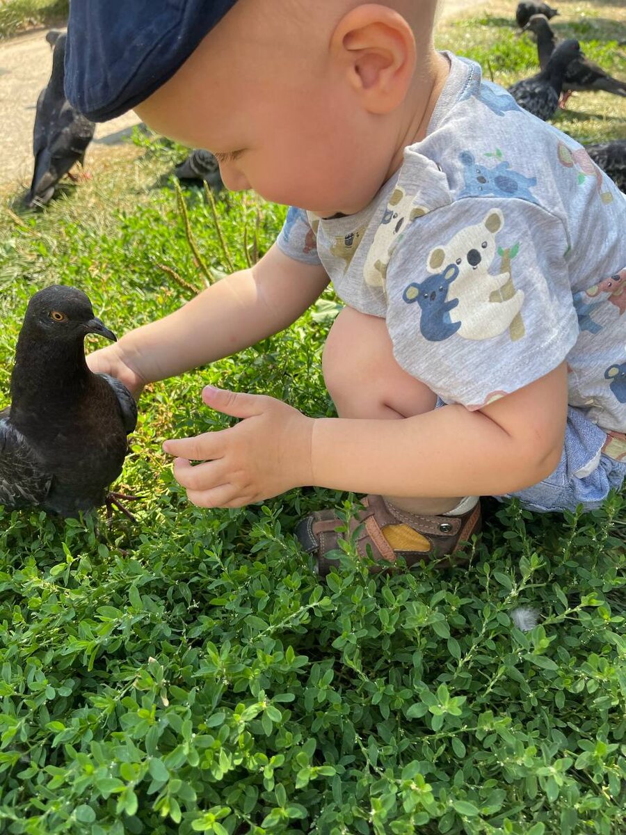 Голуби лучшие друзья в полтора года