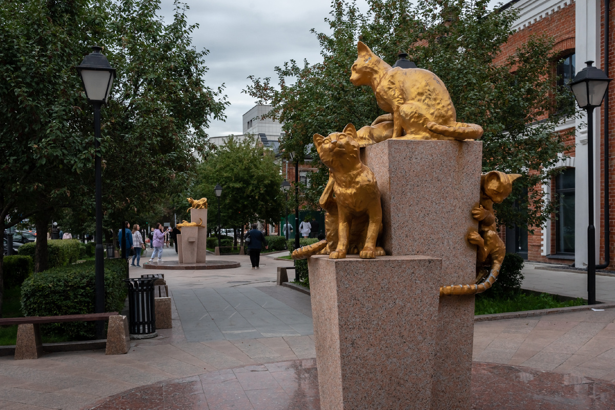 Тюмень. Сквер сибирских кошек. Золотой окрас ну очень такой... спорный...