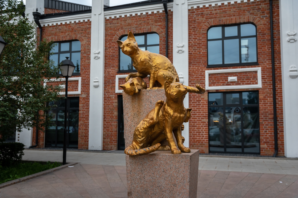 Тюмень. Сквер сибирских кошек. "Сибирские" в данном случае означает лишь то, что эти кошки родом из Сибири. 
