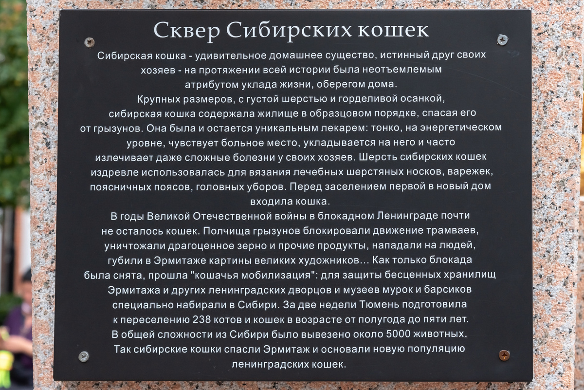 Тюмень. Сквер сибирских кошек. На мемориальной доске написано, что всего из Сибири в Ленинград было отправлено около 5 тысяч котов и кошек. В моей голове такая цифра не укладывается. 