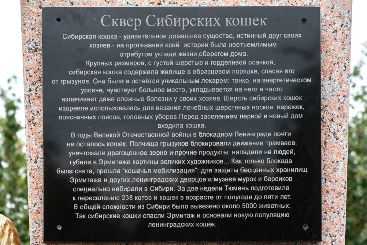 А тут в одном слове ошибка...