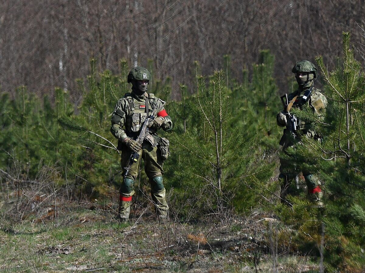    Военнослужащие десантных войск Белоруссии патрулируют белорусско-украинскую границу© Sputnik / Виктор Толочко