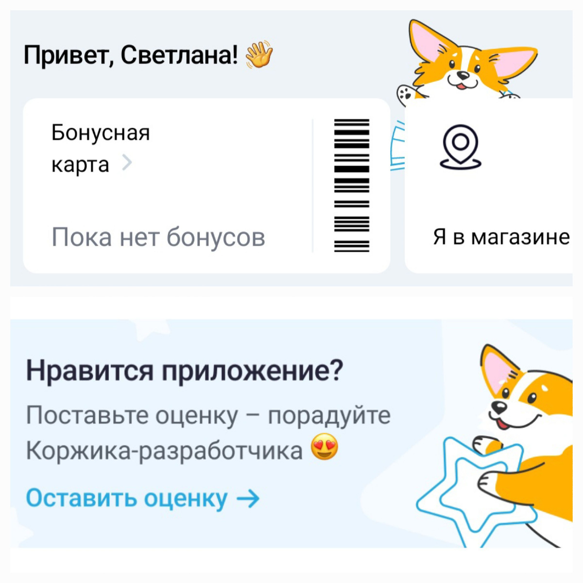Корги в "Читай-городе"😉