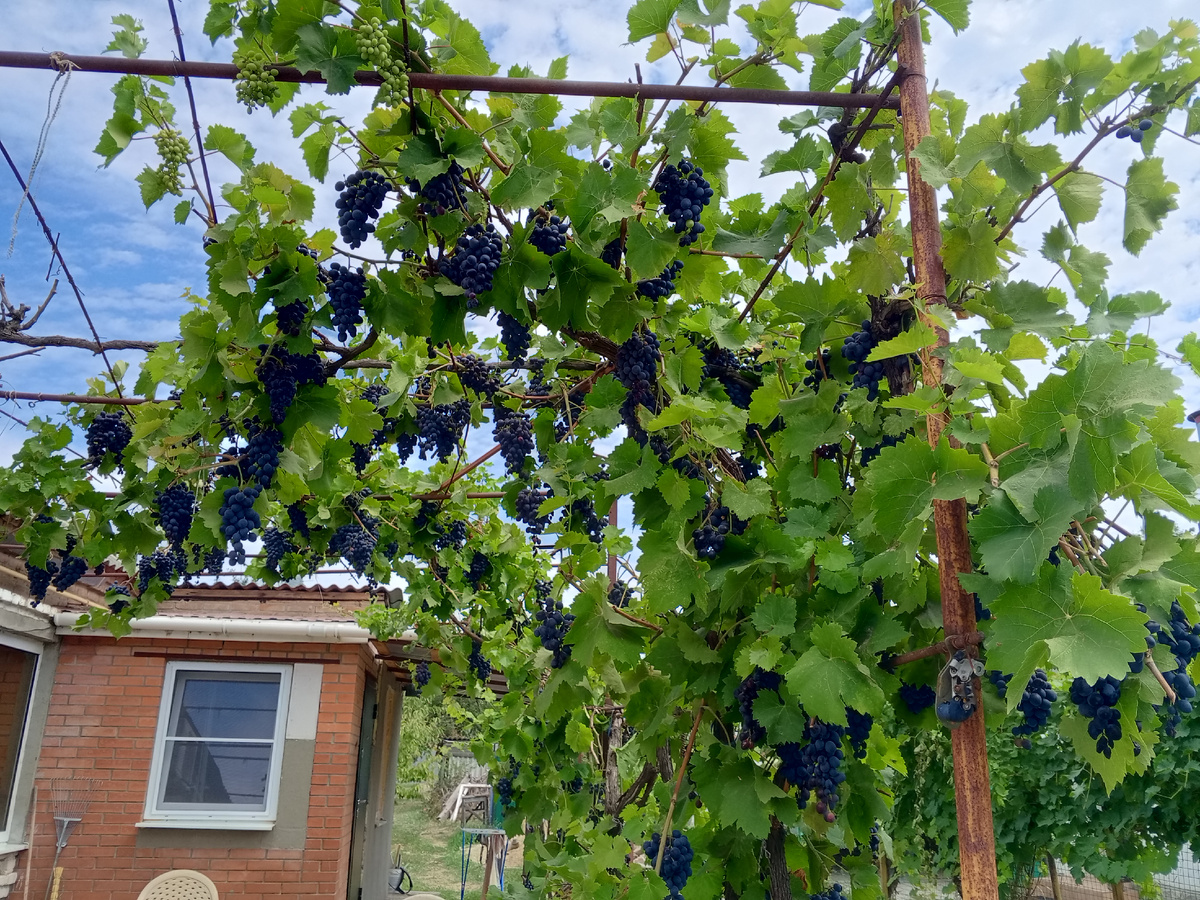 Просто для красоты