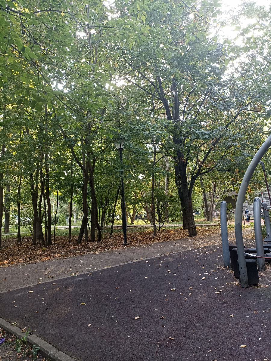 Парк в котором я бездельничаю