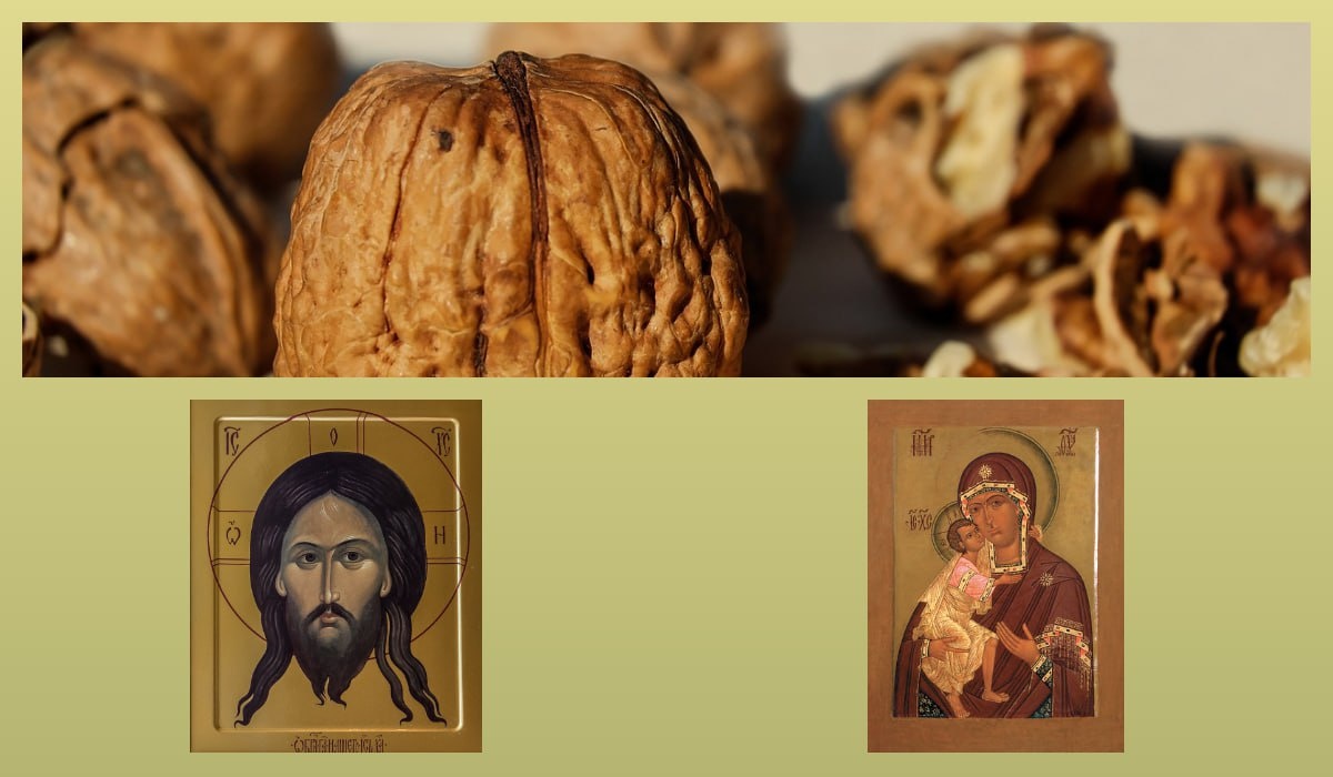 Фото: pixabay.com/azbuka.ru