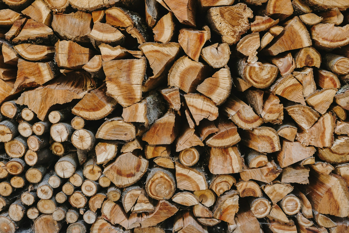     Универсальная добавка: ученые назвали необычные способы применения целлюлозы в промышленности