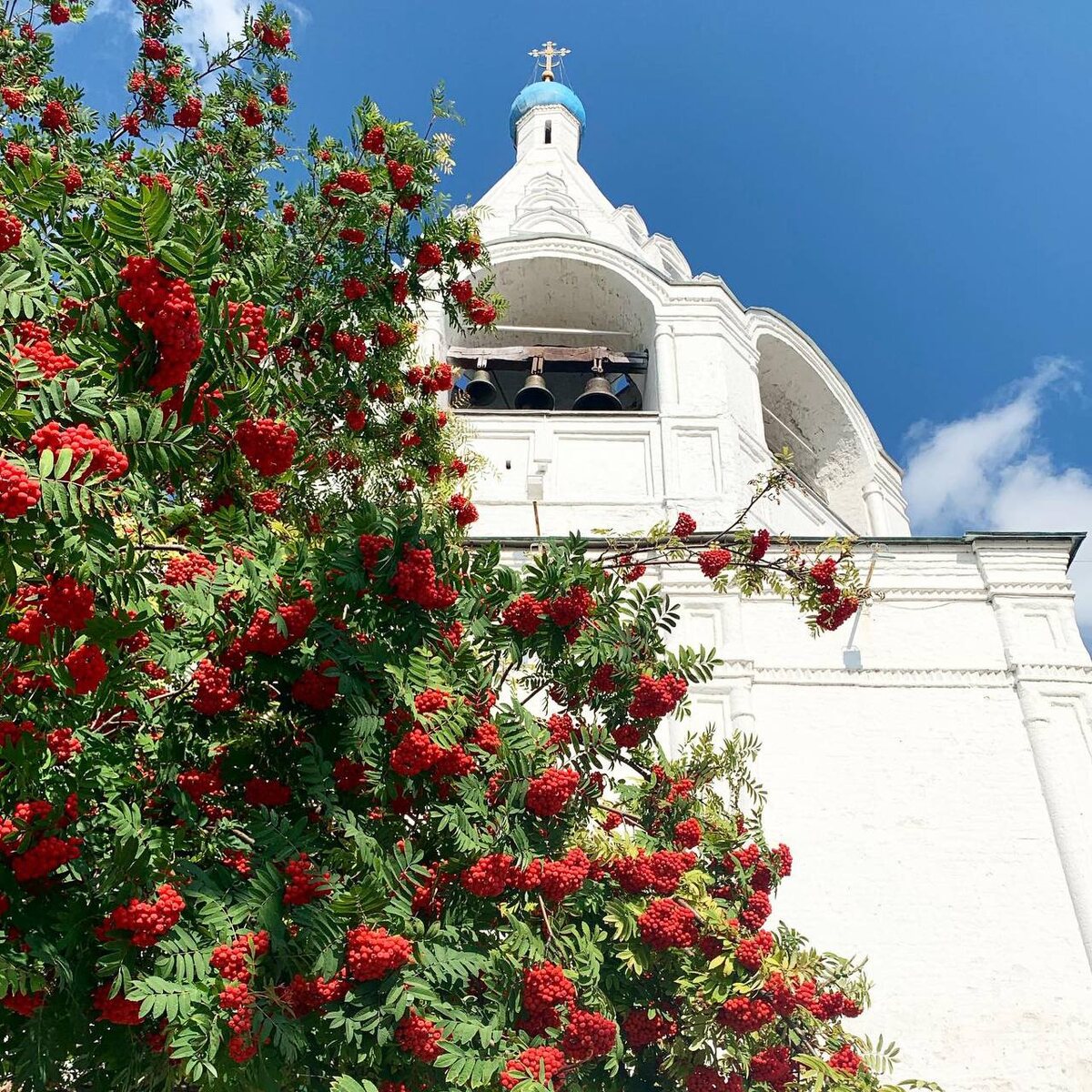 Успенская шатровая Колокольня 1692 г. Фото из личного архива 