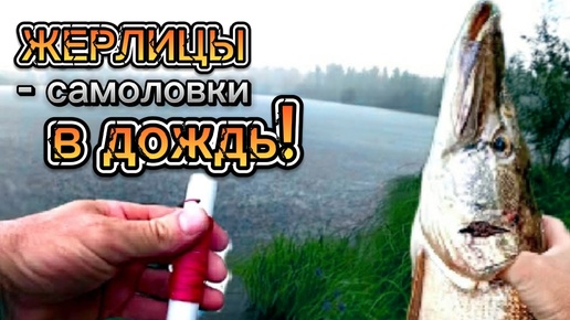 Мой рекорд для этого водоёма! Щука на ЖЕРЛИЦЫ - САМОЛОВКИ в дождь!