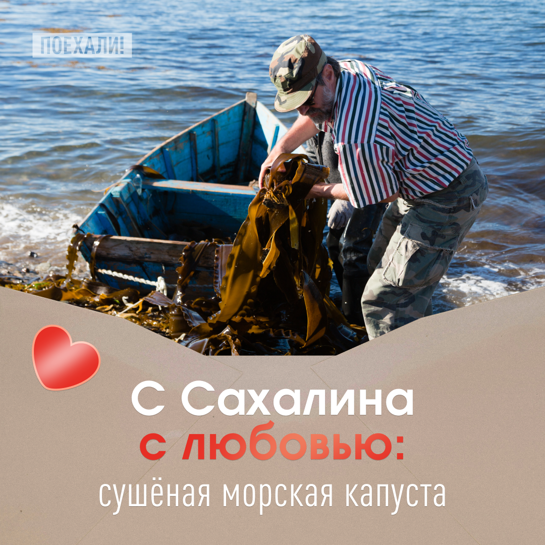 © DoublePHOTO studio/ Shutterstock