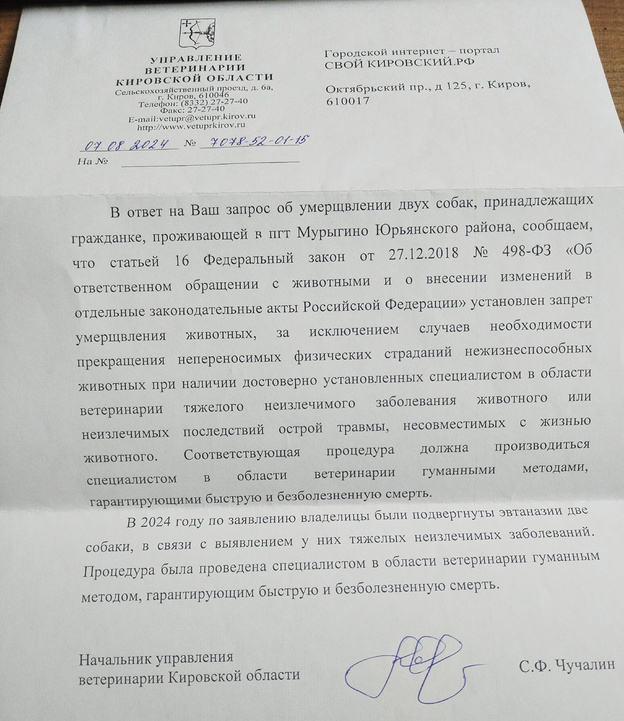    Не дали шансов на жизнь. Кировские зоозащитники добиваются правды по ситуации с умерщвлением собак в Мурыгино