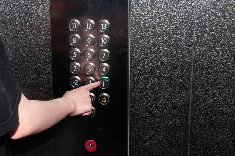    Фото: Svetlana Vozmilova/Globallookpress