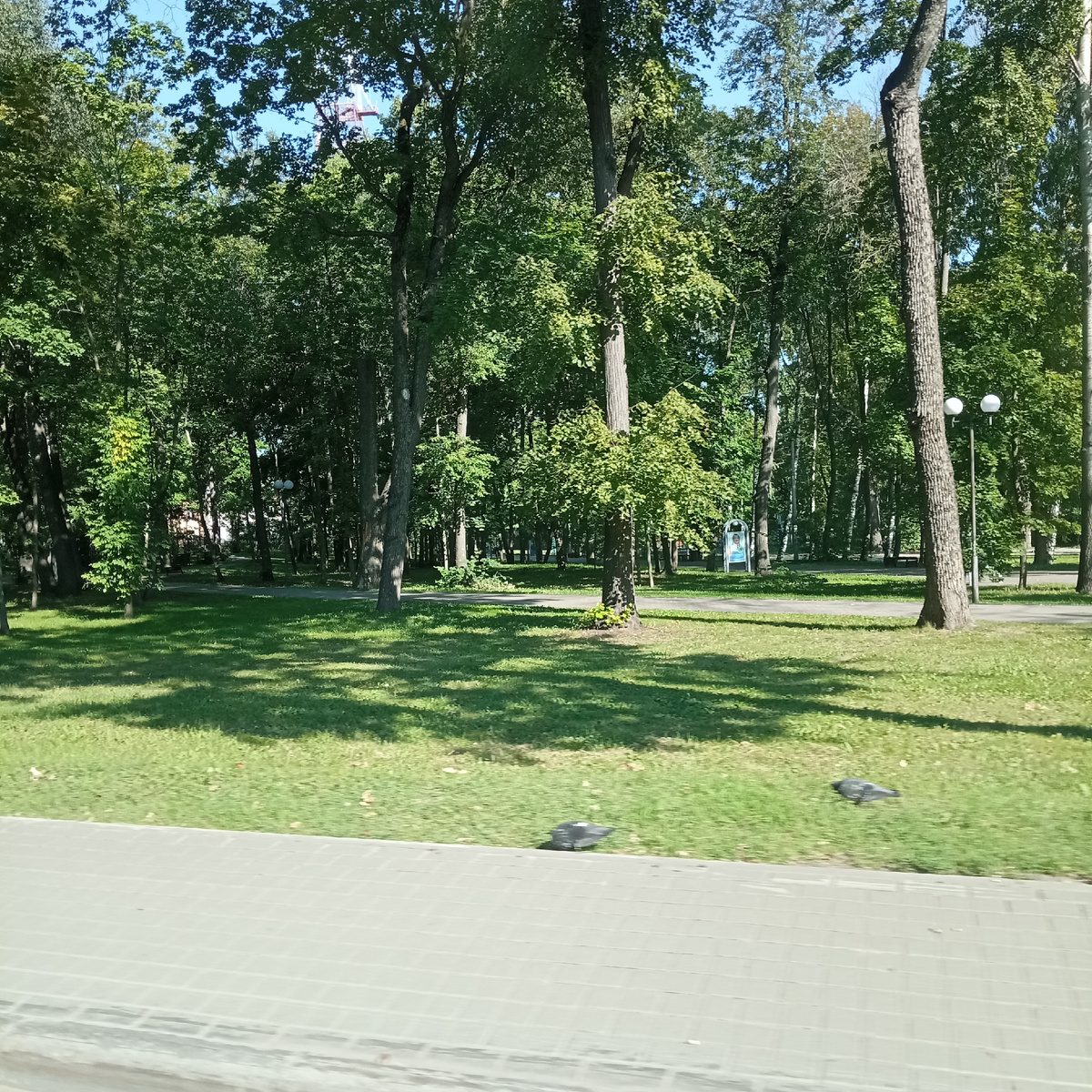 Снимала фото из машины на ходу