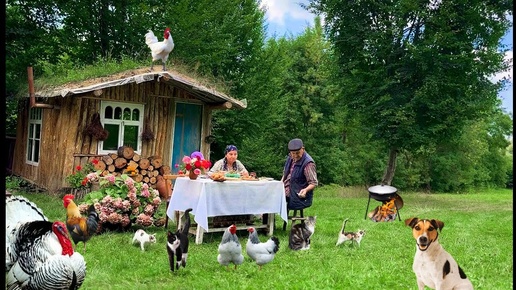 Фаршированные Баклажаны с Мясом и Овощами. Готовим Варенья и Пирог из Ежевики.