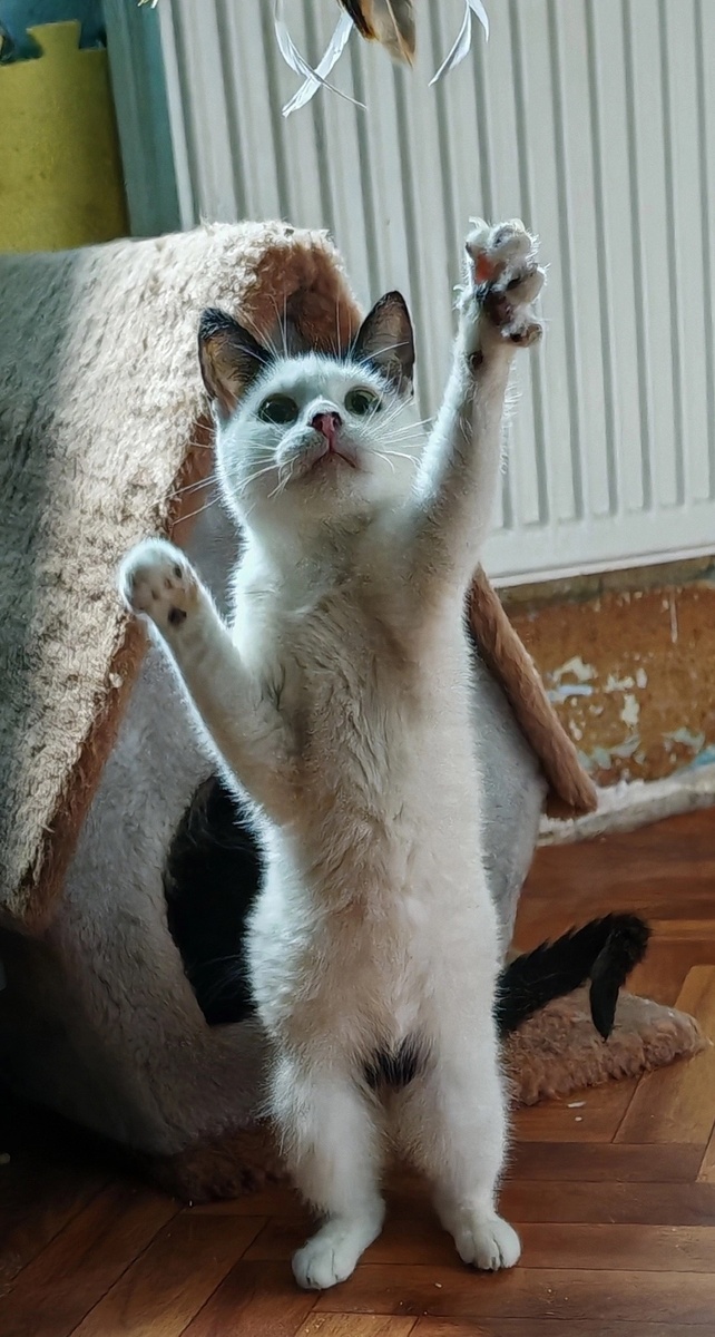 -2