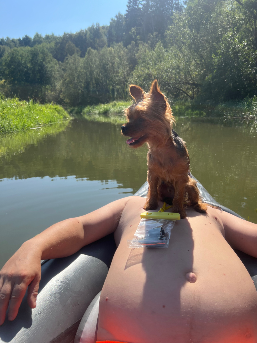 Как же без капитана)))