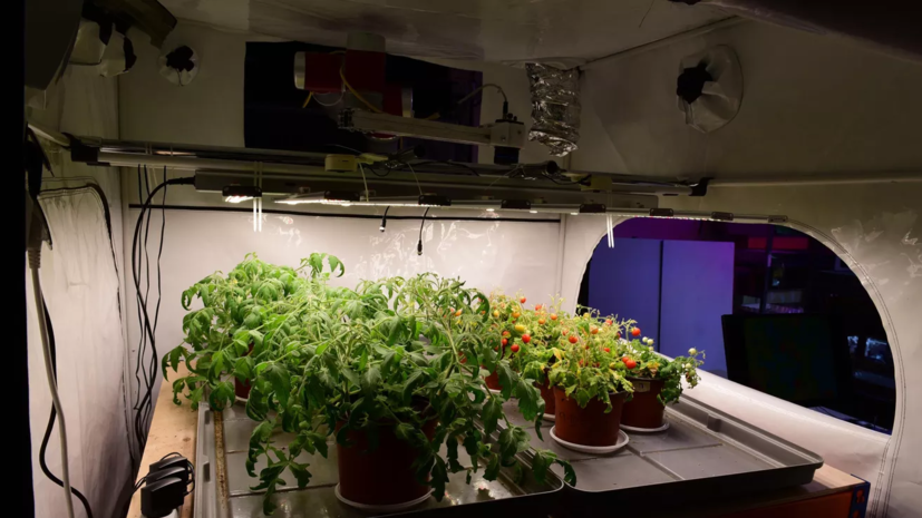   РИА Новости