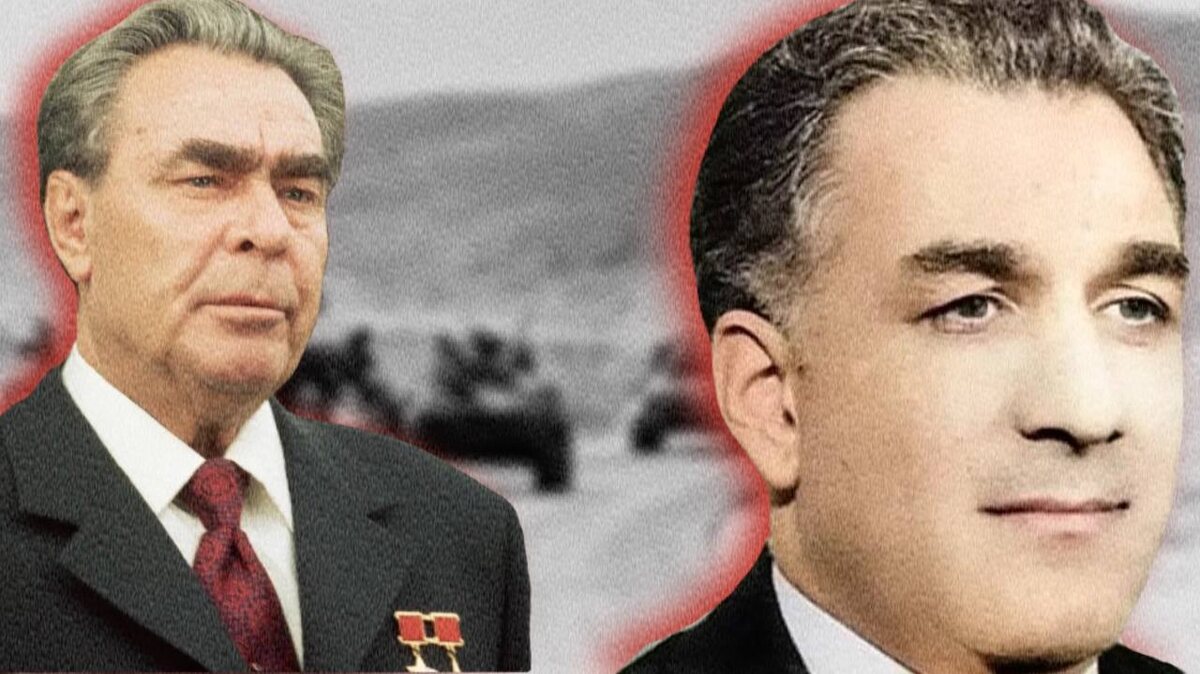 Леонид Брежнев, Хафизулла Амин