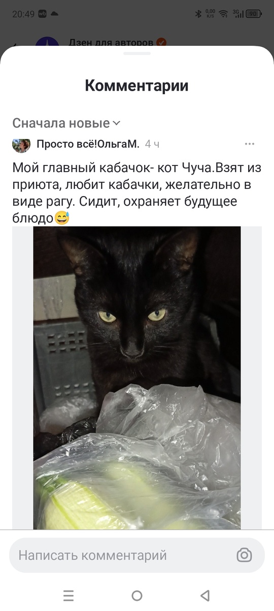 Чем ни кабачок?)