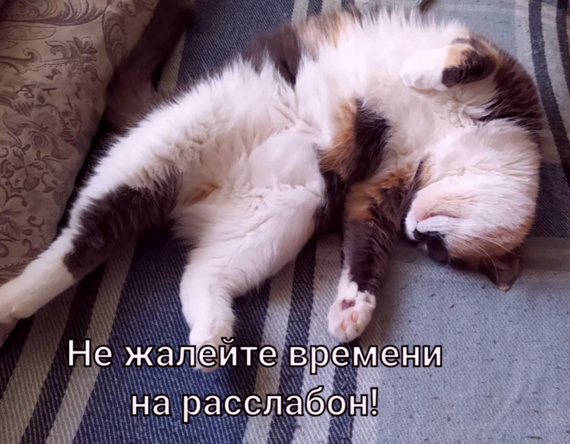 Дельный совет от Барсика)))