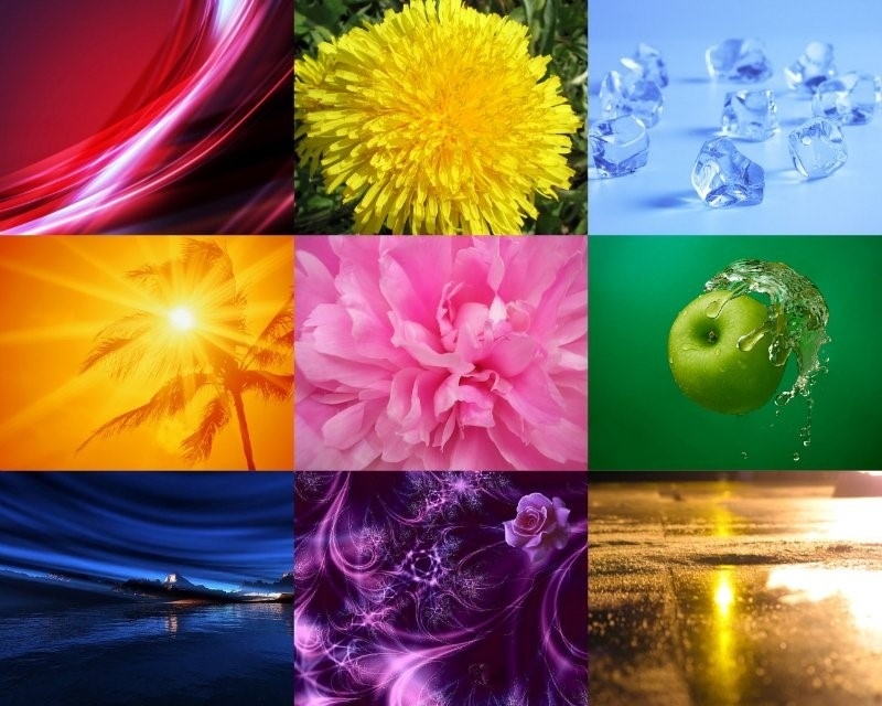 Фото из интернета 