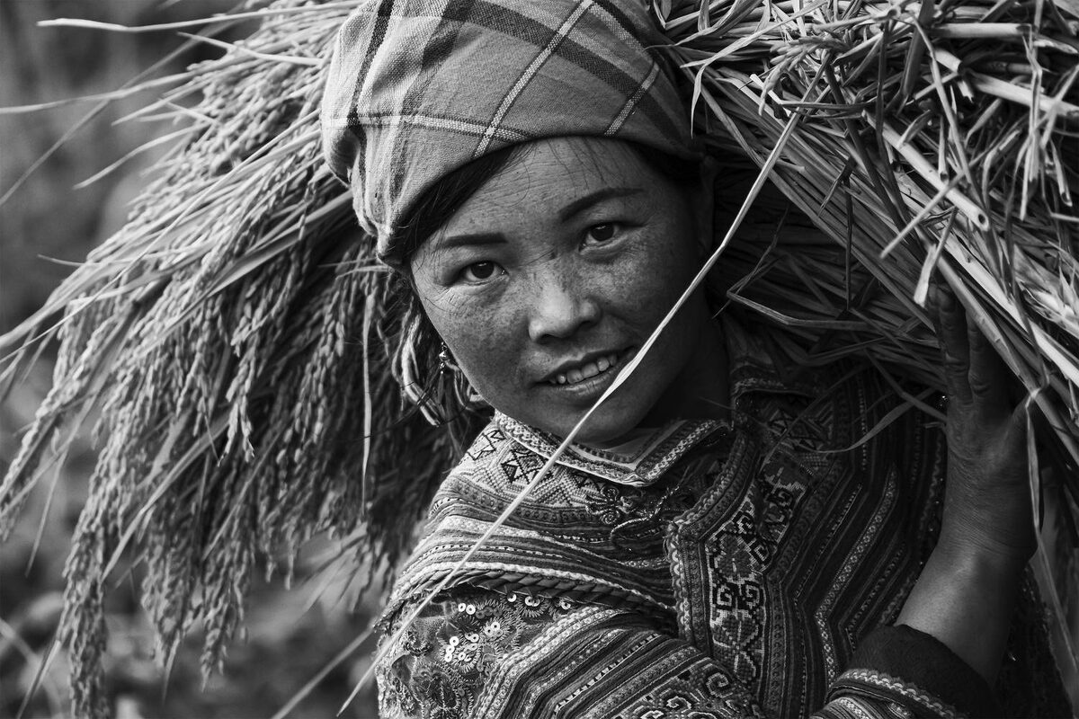 Do Thi Thanh Binh