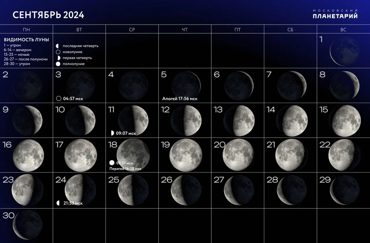 Moon Phases Calendar of 2025 Year, Astrological Schedule Template Stock Vector -