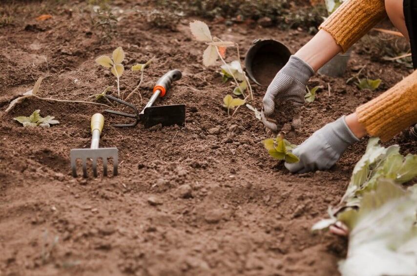 Скриншот глаза. Вот такую фигню. Чудес не бывает а вот фигня случается. Правда жизни цитаты. Фигня.