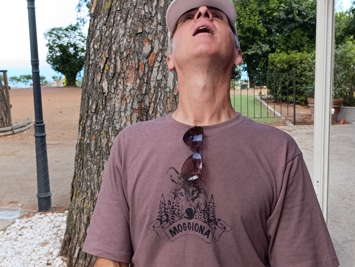 Примерно наше состояние каждое утро