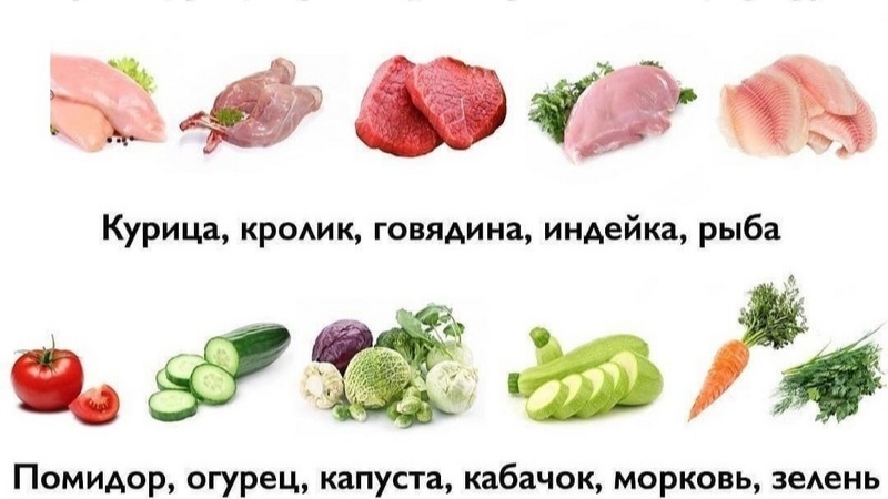 База правильного питания – это увеличить потребление белка, клетчатки (фрукты и овощи)...