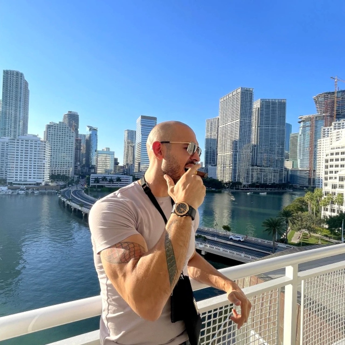 "Эндрю Тэйт обратился к Павлу Дурову"