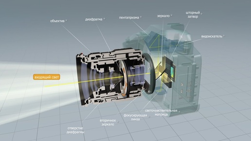 Как работает цифровой фотоаппарат ? 3D анимация Mozaik Education