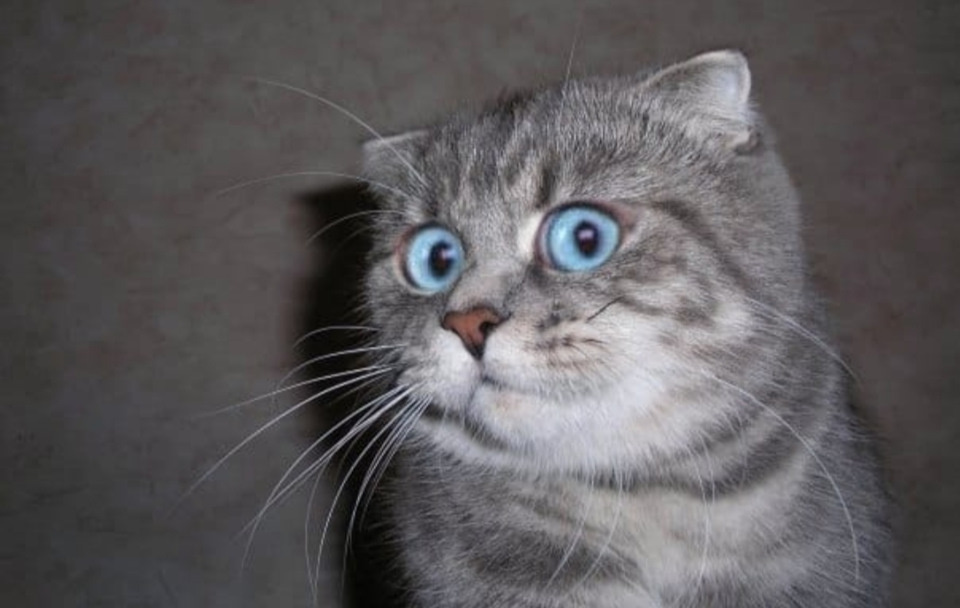  Фото из открытых источников интернета