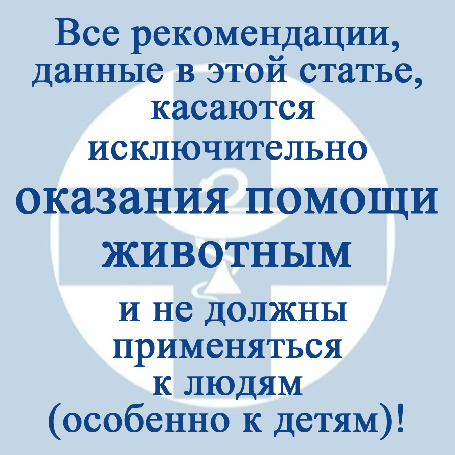Здесь и далее в публикации иллюстрации из личного архива автора