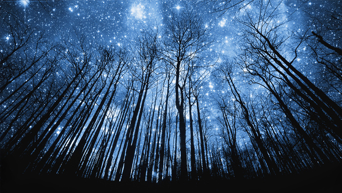 Из открытых источников