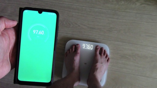 Как в Mi Body Composition Scale 2 определить долю жира,процент воды,вес мышц,костная масса, белок