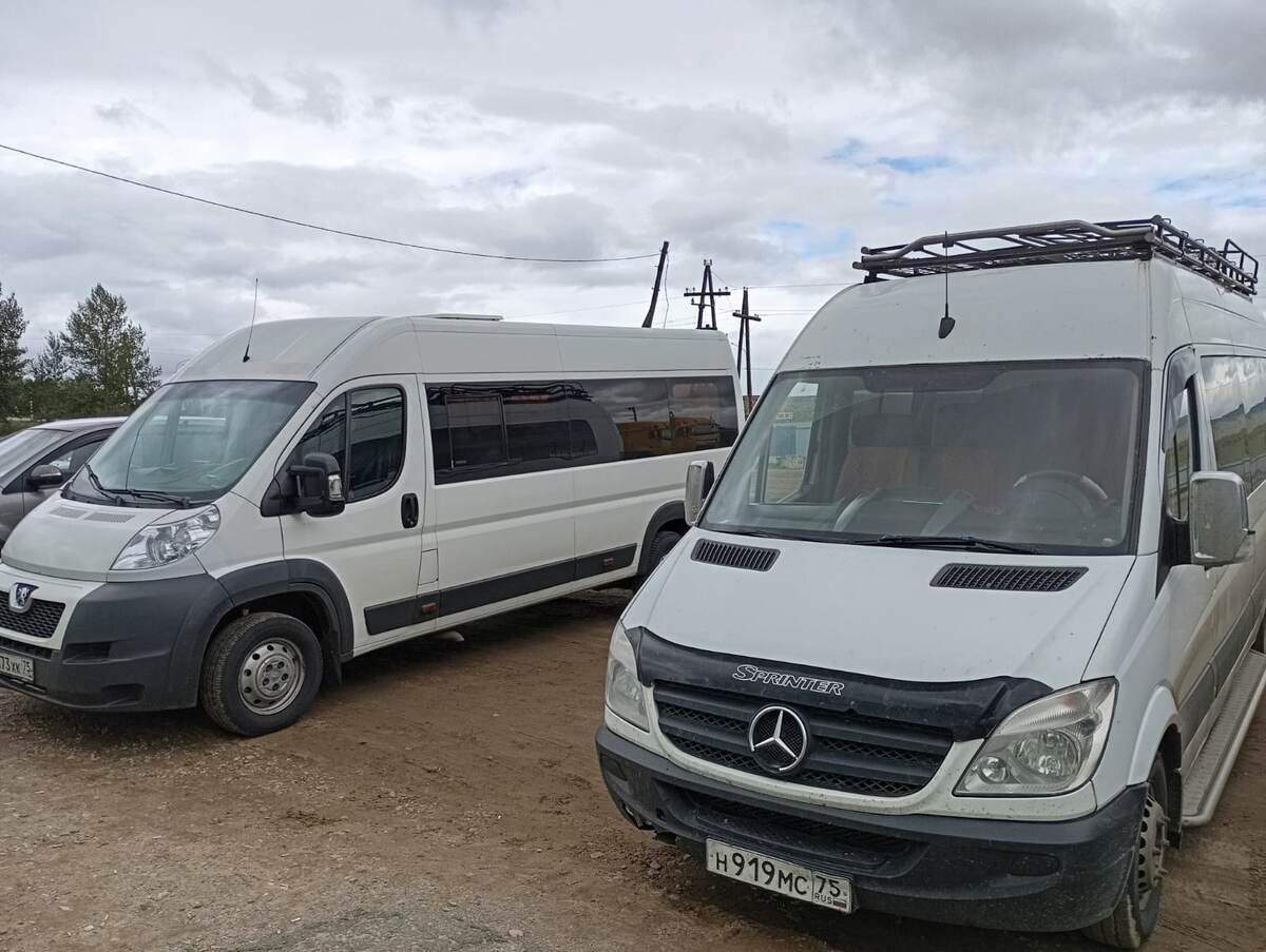 Наши автобусы