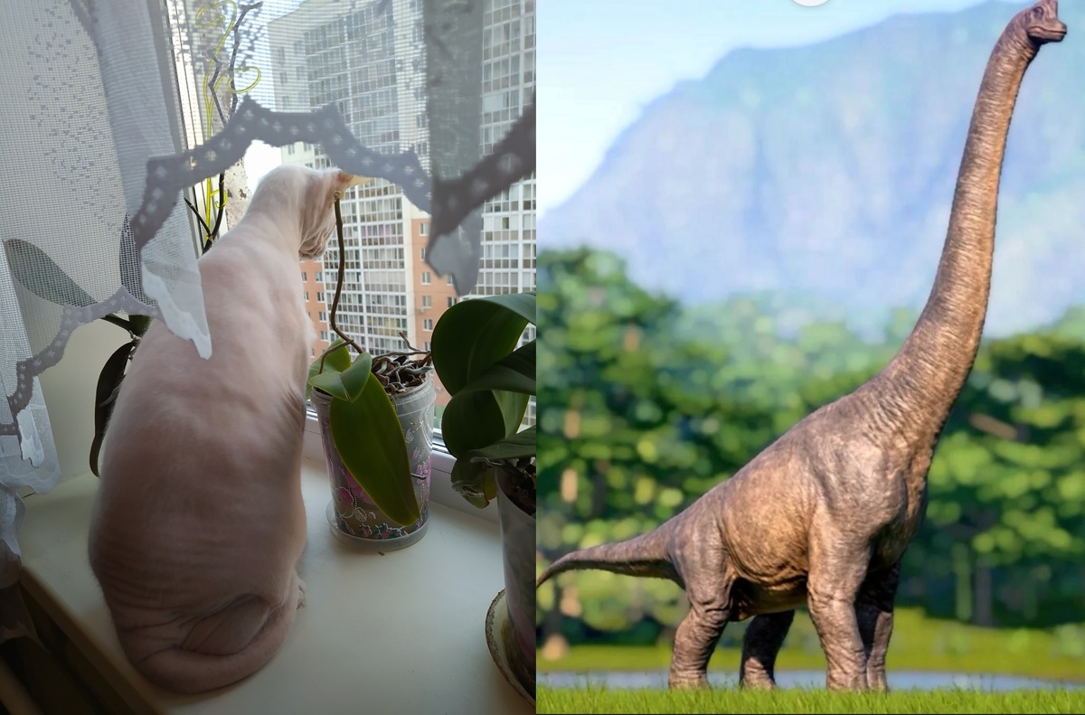 похожи ведь, как ни крути