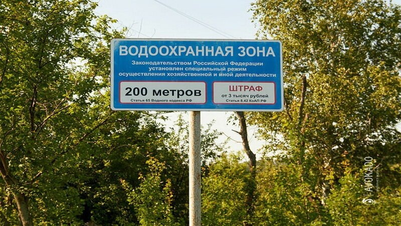 Фото из открытых источников Яндекс картинки