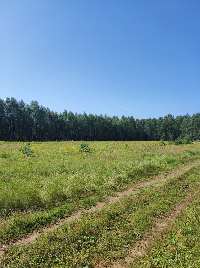 Фото Лари. 26.08.2024