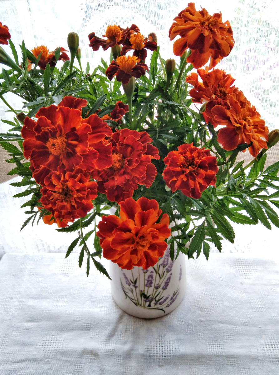 Осенний утренний букет...